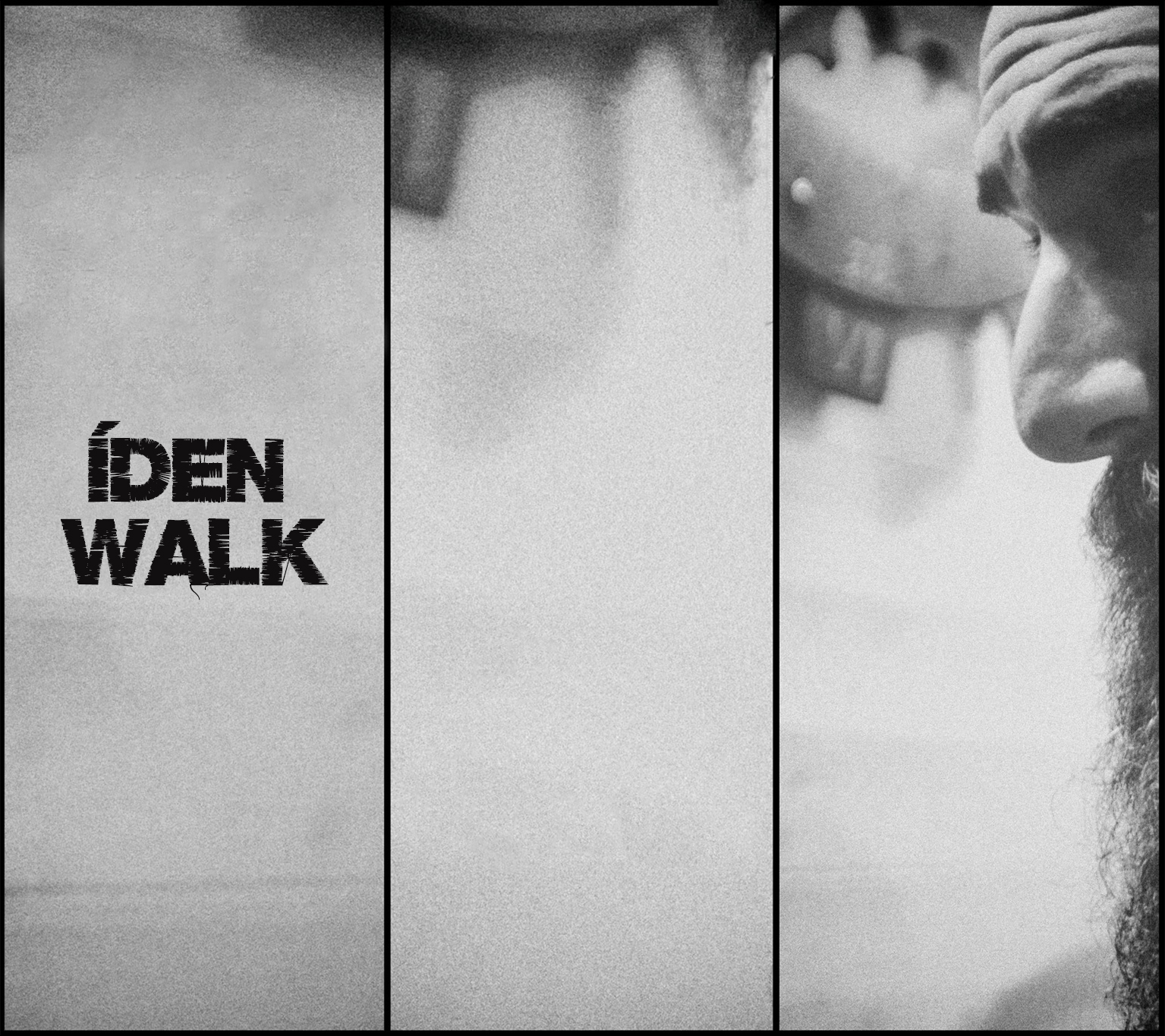 Logo IDEN WALK